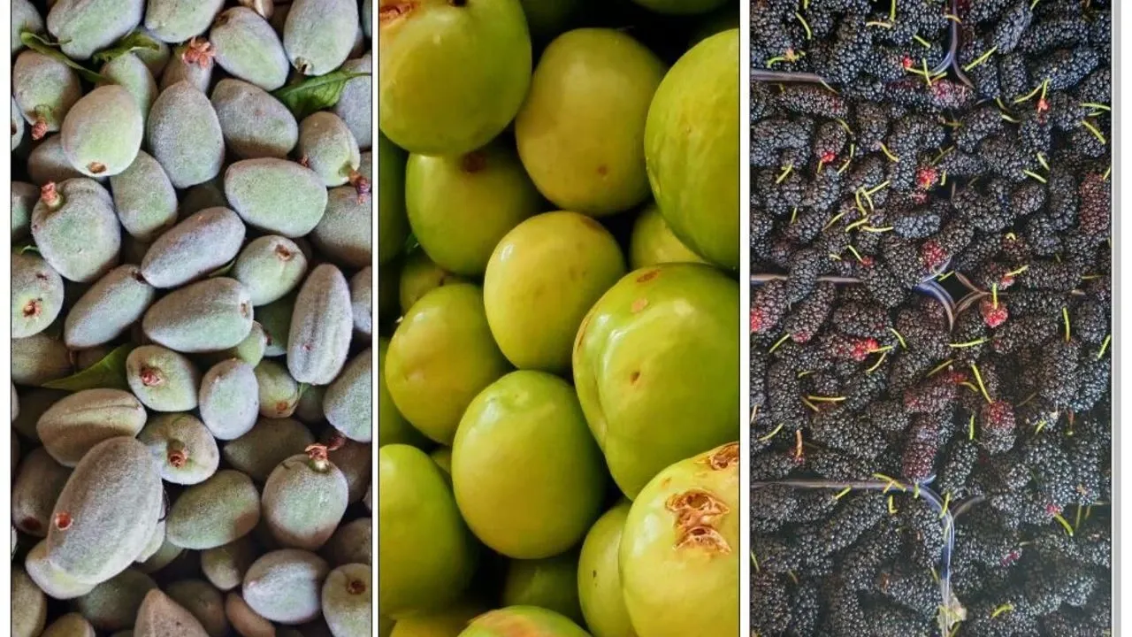Bolu Pazarı’nda meyve mesaisi: Etiketler değişti, vatandaş yaz meyvesine yöneldi!