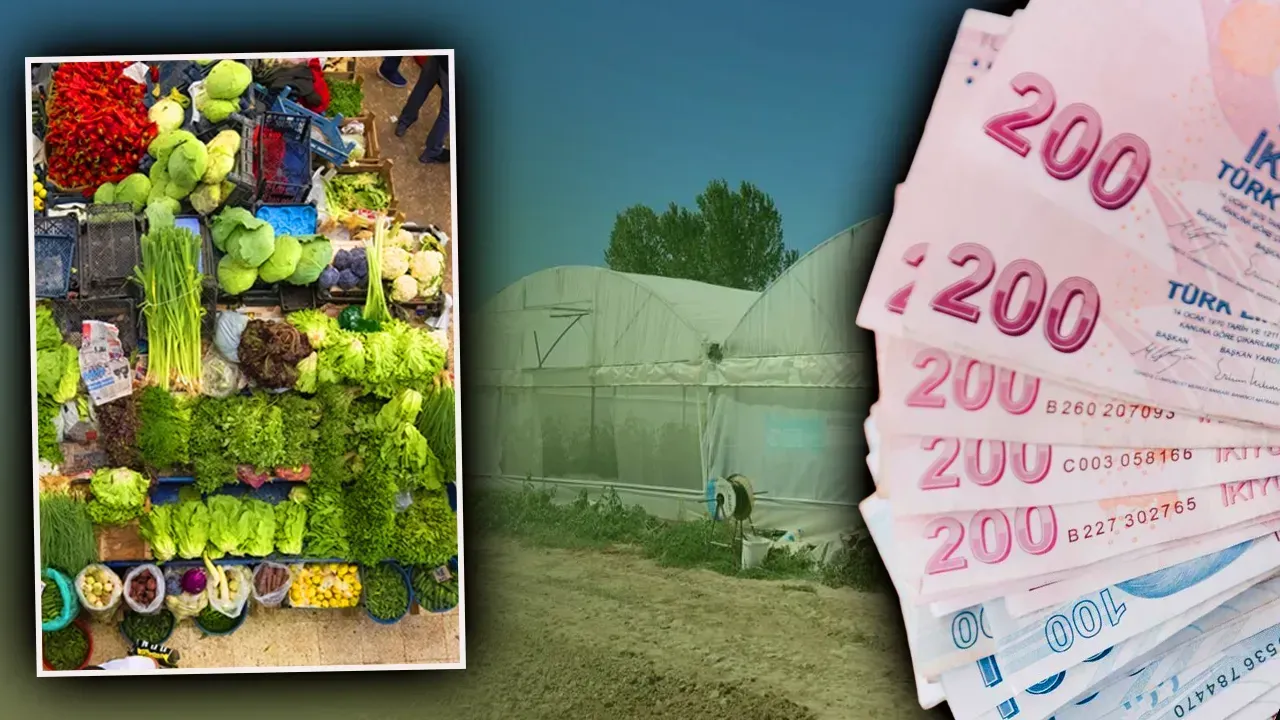 Bu yıl ekmeyen bin pişman: Marul fiyatları uçuşa geçti!