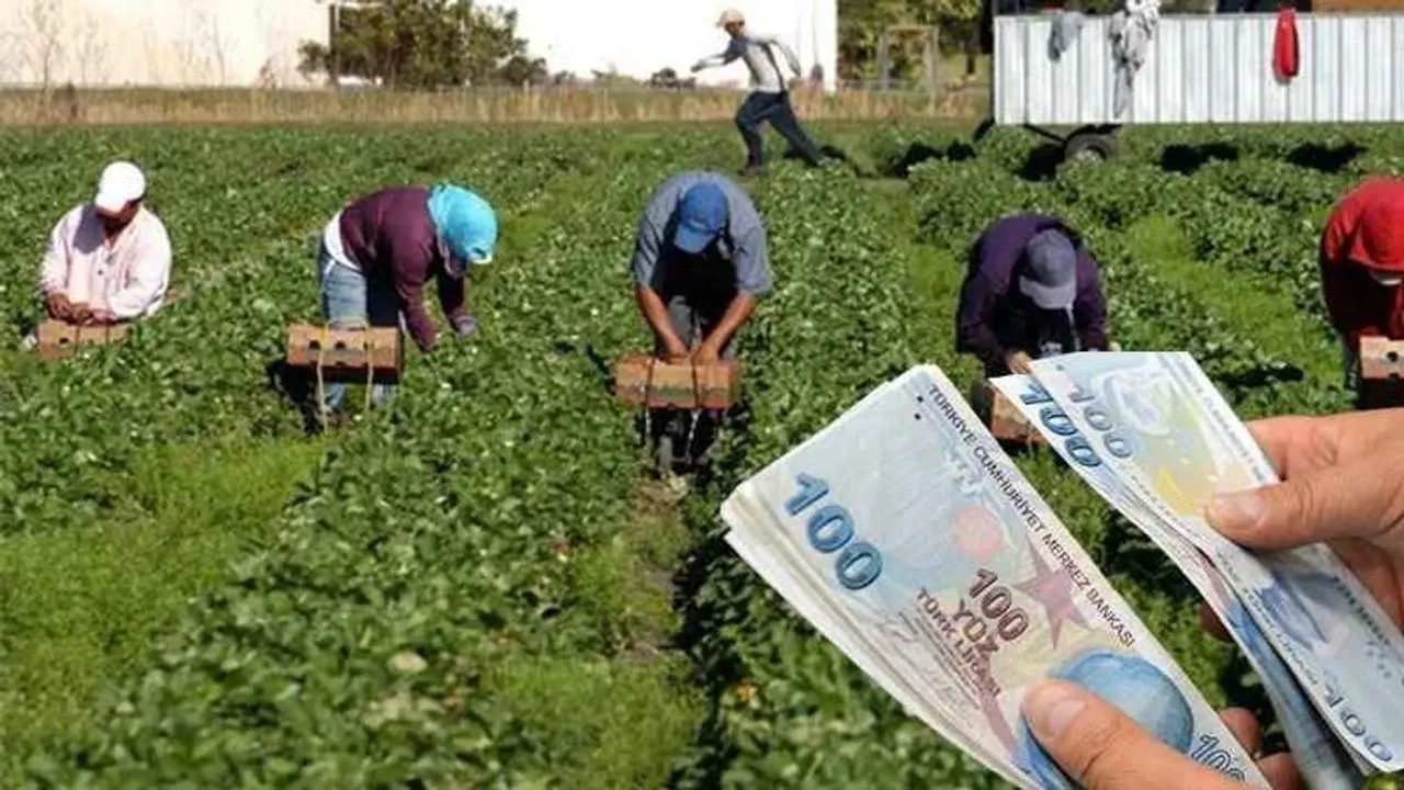 Selendi’de yevmiye tarifesi belli oldu: İşte yeni rakam!