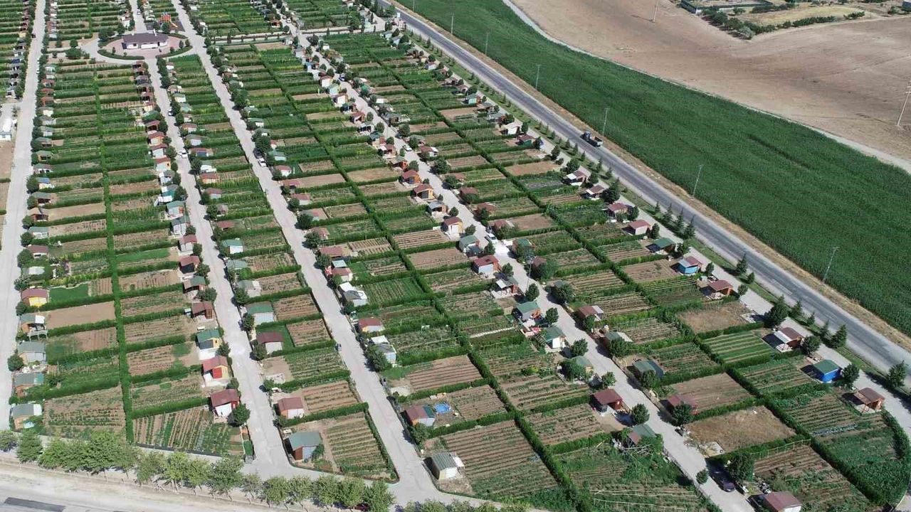 Bakan Yumaklı'dan hobi bahçesi resti: Affı yok, hepsi kaçak
