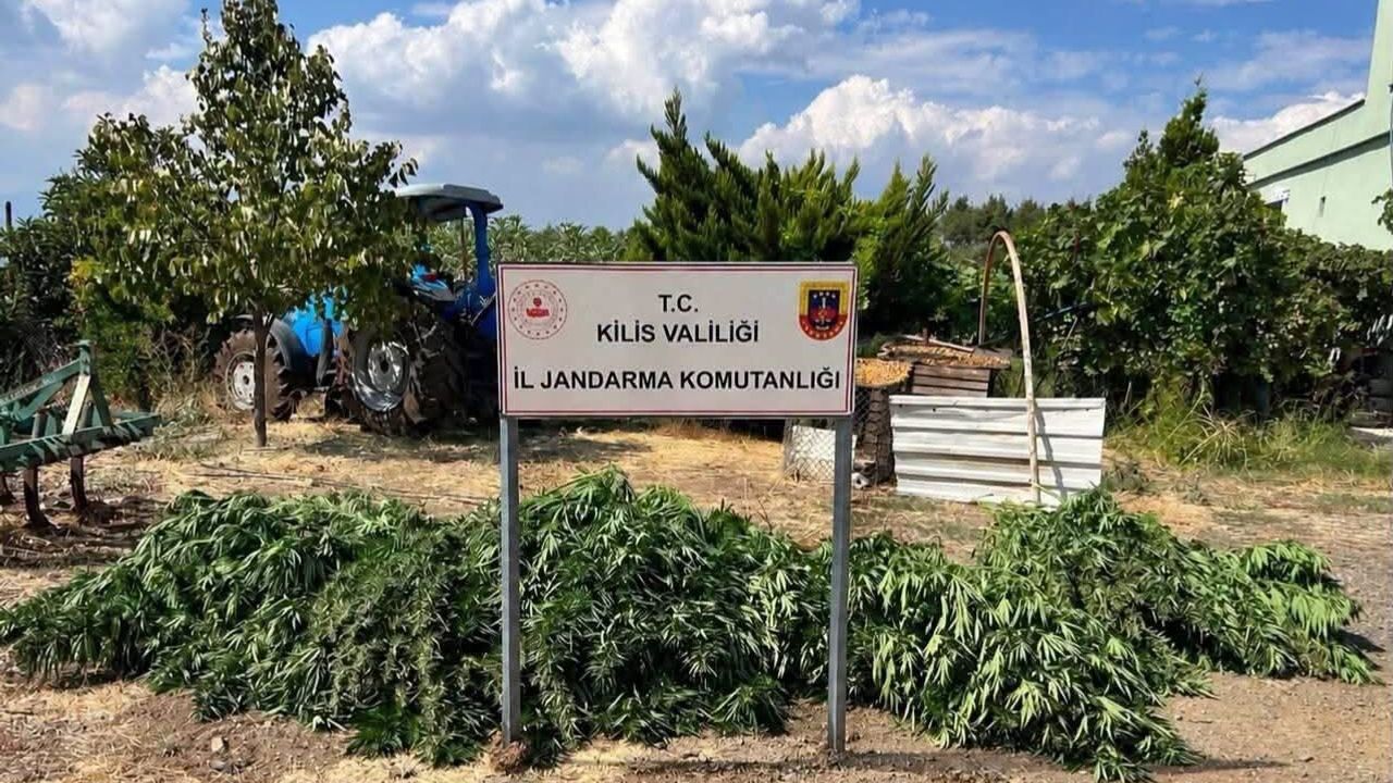 Kilis'te zehir tacirlerine darbe: 40 kilo esrar ele geçirildi