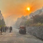 Aydın'da zeytinlik ve makilik alanda çıkan yangına müdahale ediliyor