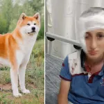 İzmir'deki köpek saldırısı davasında emsal karar: Hayvan sahibine 1,2 milyon TL tazminat şoku!