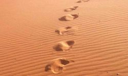 40 maddede 'hicret' nasıl edilir? Ehliyetli ve liyakatli bir İmam-ı Kebire biat ne demek?