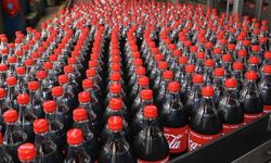 Boykot listesindeki şirketten katakulli oyunlar! Yerinde incelemeyi engellemenin yaptırımı ağır! Coca-Cola'ya veri silme cezası