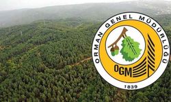 OGM işçi alımı başvurusu nasıl yapılır, KPSS şartı var mı? Orman Genel Müdürlüğü işçi alımı şartları neler.*