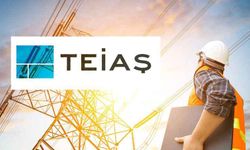 Elektrik fiyatları açıklandı: İşte 12 Kasım verileri!