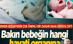 Erken sezaryenin çok önemli bir zararı daha ortaya çıktı! Bakın bebeğin hangi hayati organına zarar veriyor?