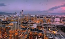 "Sanayisizleşerek sağlıklı büyüyemeyiz"