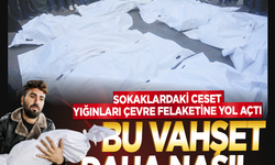 Sokaklardaki ceset yığınları çevre felaketine yol açtı! Bu vahşet daha nasıl anlatılabilir? 