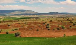 Arsa alacaklar müjde: Bu tarihe kadar 60 bin liraya satılacak
