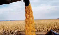 Tarımsal girdi enflasyonu yükselmeye devam ediyor: Yıllık artış yüzde 34,60'a ulaştı