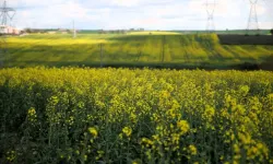 Köye dönmek isteyenlere bu yardım verilecek!