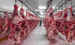 Kırmızı ette yokluk krizi: Kesim durdu, fiyatlar uçuyor!