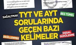 TYT ve AYT sorularında geçen bazı kelimeler: Sağaltmak, dışsal güdülenme, beş tümel, değillenmek…