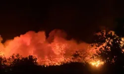 Aliağa’daki orman yangınında 4 saat geride kaldı: müdahale sürüyor, bir kişi gözaltında 