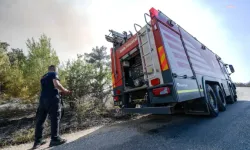 Bornova Yakaköy'de yangınla kıran kırana mücadele sürüyor