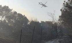  Aydın'ın Efeler ilçesindeki yangın kontrol altına alındı