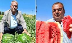 Arabanlı karpuz üreticisi fiyatlardan dertli: Tarlada 2 lira, tezgahta 10 lira!