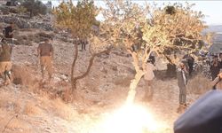 İsrailli yerleşimciler zeytin ağaçları hedef aldı: Nablus'ta yüzlerce ağaç kül oldu, yangına müdahale engellendi!