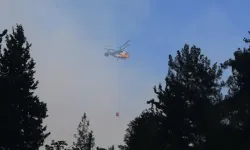 Hatay, Bursa ve Edirne’deki orman yangınları kontrol altına alındı