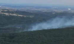 Edirne'de ormanlık alanda çıkan yangın söndürüldü