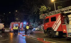 Beykoz'da ormanlık alanda çıkan yangın söndürüldü