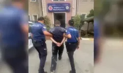Adalet Bakanı Tunç: İstanbul'da bir kediye şiddet uygulayarak öldüren şüpheli gözaltına alındı