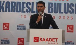 Ali Ahmet Çelik: Sapanca Gölü sistemik çöküşle karşı karşıya