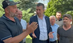 Burdurlu domates üreticisi: Bıçak kemiğe dayandı