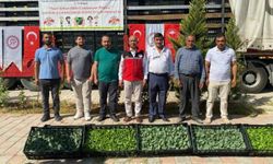 Siirt’te tarımsal üretim için yeni adım: Marul ve karnabahar fidesi üreticilere dağıtıldı!
