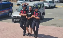 Bodrum'da 15 düzensiz göçmen yakalandı