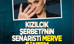 Kızılcık Şerbeti dizisinin senaristi Merve Göntem gözaltına alındı