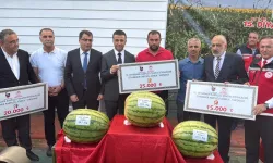 Kuraklık sebep oldu! Diyarbakır karpuzunda 10 kiloluk düşüş 