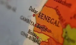 Senegal'de Rift Vadisi Ateşi salgınında ölü sayısı 29'a çıktı