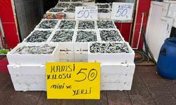 Rize’de hamsi bolluğu, fiyatlar düşüşte: Vatandaşın yüzü güldü!