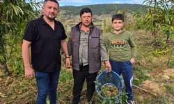 Denizli'de kestane mesaisi başladı: Hasadın geçen yıl gibi verimli geçmesi bekleniyor!