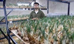 14 metrekarede servet kazanıyor! Genç mühendis işin sırrını tek tek açıkladı