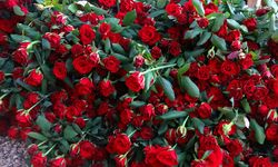 Adana’da gül üreticileri dertli: Daldan 10 TL'ye çıkan gül, çiçekçide 100 TL!