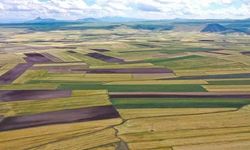 Arsa sahiplerine kötü haber! Devlet kazancın yüzde 90'ına el koyacak