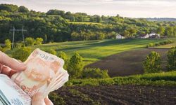 Bu illerde arsası olanlar zengin oldu! İşte taşı toprağı altın olan şehirler