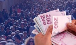 Bu mesleği yapan yıllık 5 milyon TL kazanıyor! Diploma şartı yok