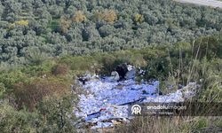 İznik'te feci kaza! Kağıt yüklü kamyon uçuruma devrildi! 2 ölü!