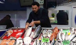 Çanakkale’de balık sezonu kızıştı: Hamsi ve sardalya ucuzladı, lüfer uçtu!