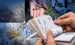 Çiftçilere zirai don desteği: 798 milyon TL hesaplara yatırıldı!
