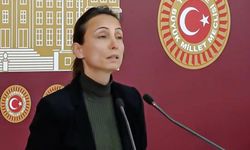 DEM Parti’nin Öcalan ısrarı “Devletin gittiği yere siyaset neden gitmesin"