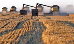 Dünya tahıl arzı ilk kez 3 milyar tonu aşıyor: Üretim %4,3 artışla zirvede!
