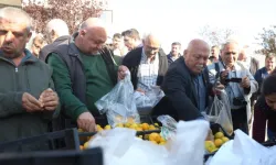 Mandalinanın Fiyatı 2 TL’ye Düşünce Üreticiler Tonlarca Ürünü Ücretsiz Dağıttı