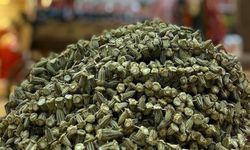 Eklem ağrılarına şifa olan lezzet: Kilosu 2 bin TL’ye dayandı!