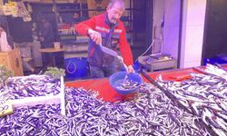 Eskişehir’de hamsi ucuzladı: Palamut pahalılığı sürüyor!